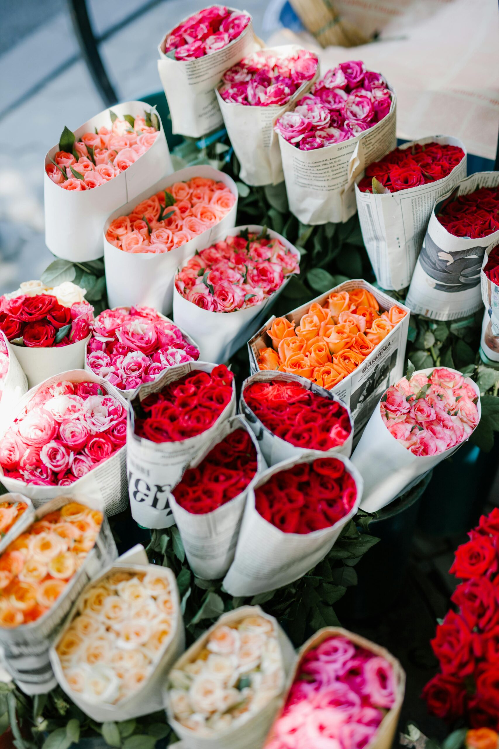 Valentine’s Day Roses