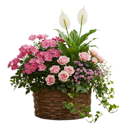 Flower Basket