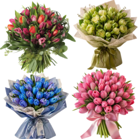 All Types of Tulip Bouquets